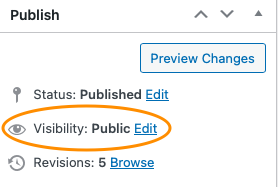 WordPress Visibility Settings